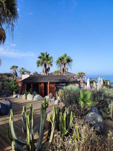Margherita House Tenerife, Wonderful Ocean View - Apartamento de 1 dormitorio - 73