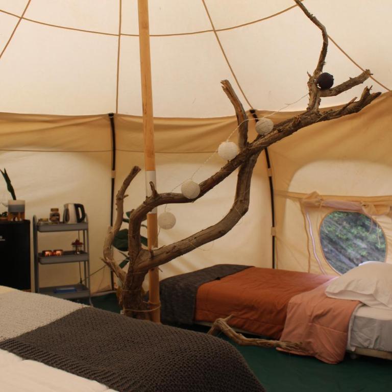 Glamping de Matanzas - Tienda - 2