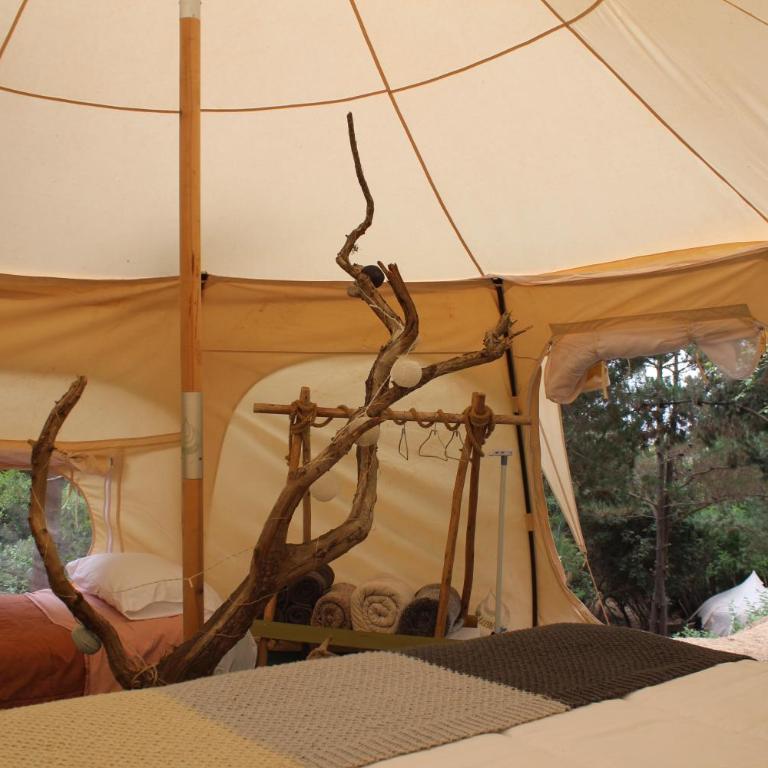 Glamping de Matanzas - Tienda - 3