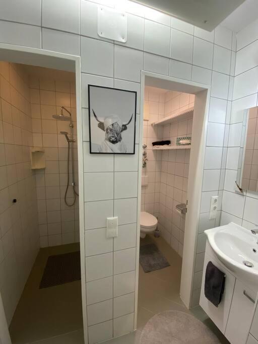 Ferienwohnung Bergruhe - Apartment mit 1 Schlafzimmer - 5