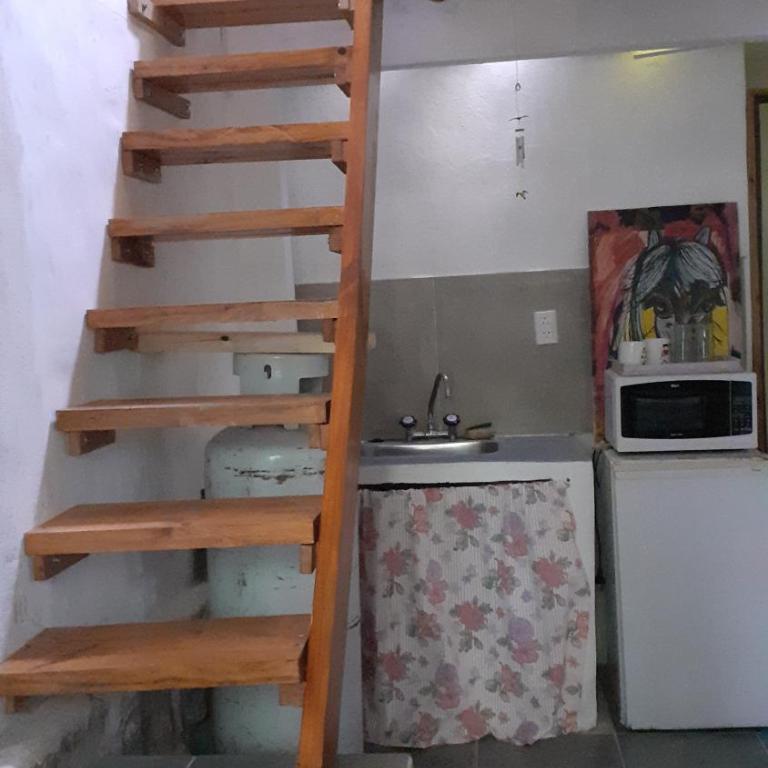 delvuelo - Apartamento de 1 dormitorio - 3