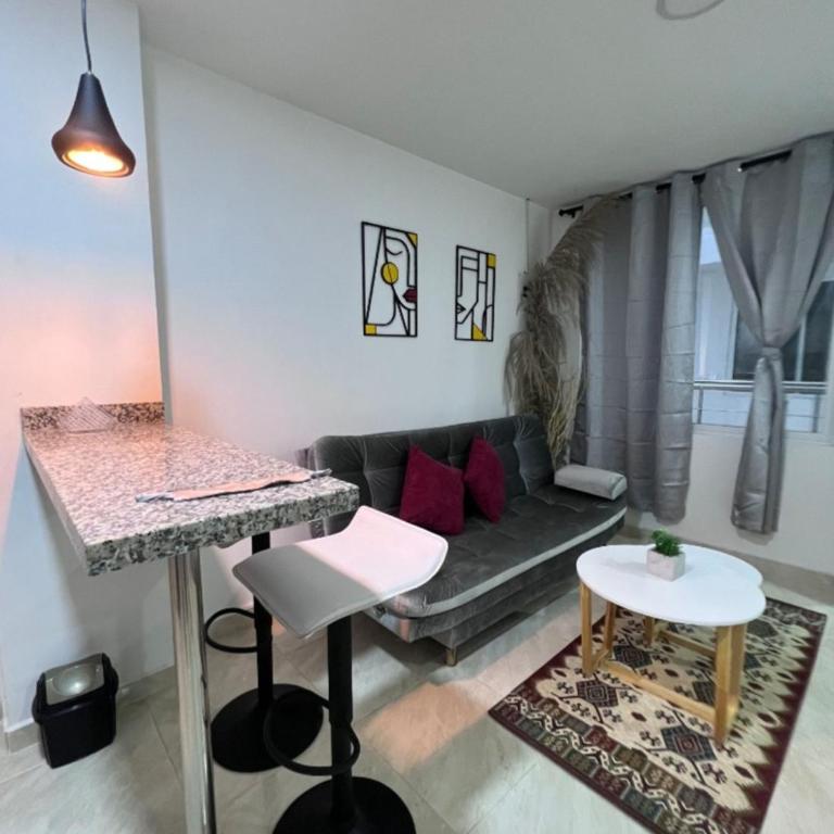 306 Confortable y lindo apartamento - Apartamento de 1 dormitorio - 1