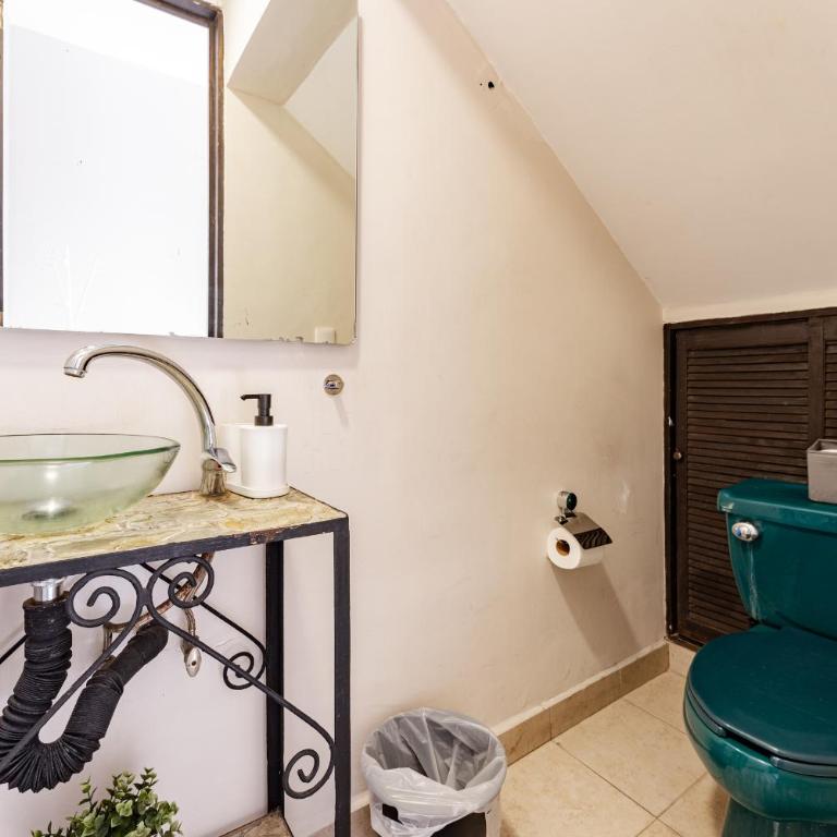 Lujosa y Amplia casa en el corazón de Roma Norte - Apartamento - 38