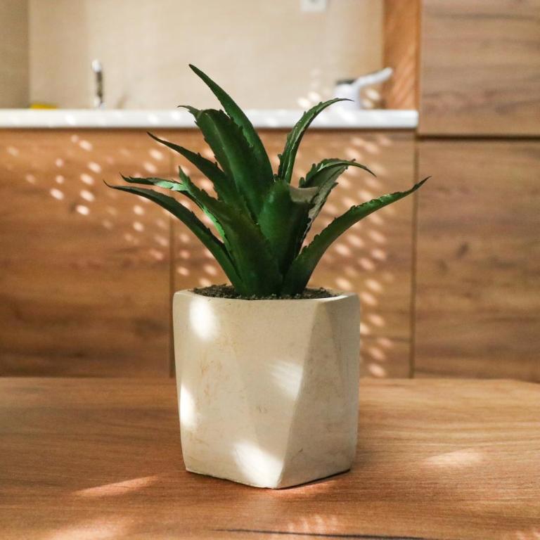 Studio Apartments Maksimović - Studio Apartman - 10