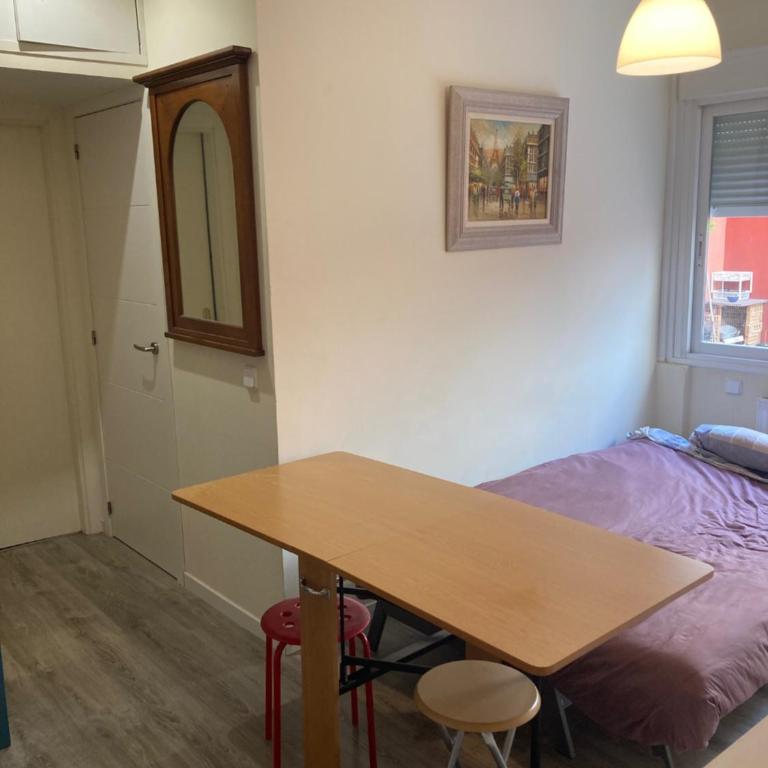 APT. DOWN TOWN(ANTON MARTIN) - Apartamento de 1 dormitorio - 26