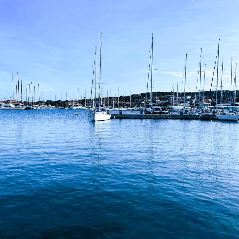 Porto Rotondo centro - splendido appartamento con terrazza - Appartamento con 1 Camera da Letto - 35