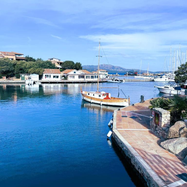 Porto Rotondo centro - splendido appartamento con terrazza - Appartamento con 1 Camera da Letto - 34