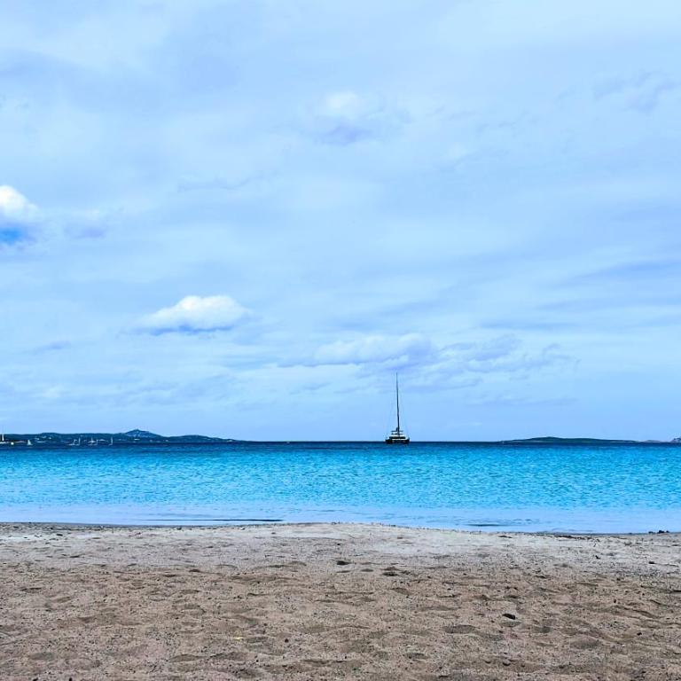 Porto Rotondo centro - splendido appartamento con terrazza - Appartamento con 1 Camera da Letto - 38