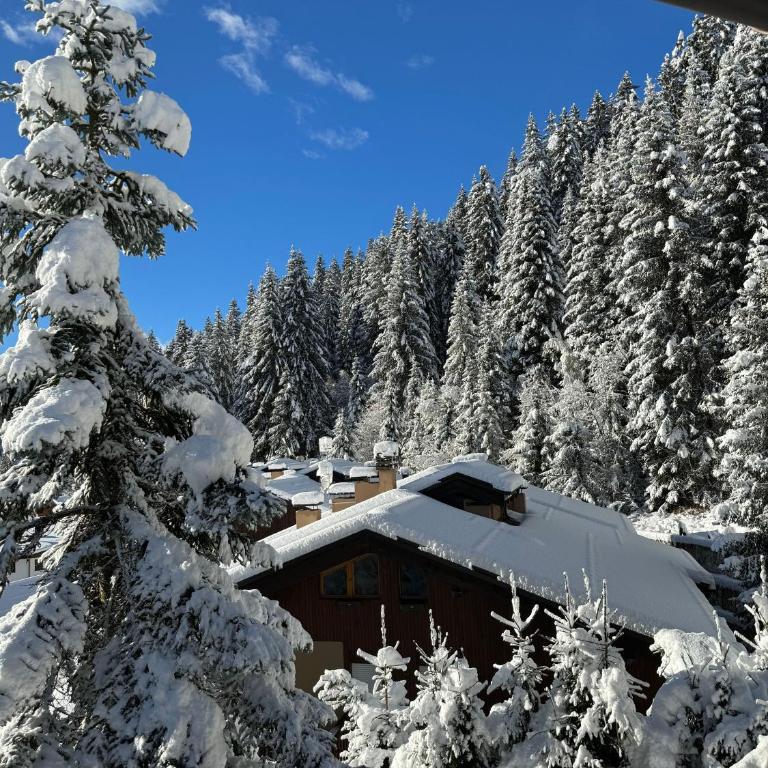 La finestra sul Brenta - Campiglio - Appartamento con Vista Montagna - 26