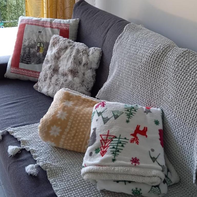 les campanules - Appartement 1 Chambre - 2