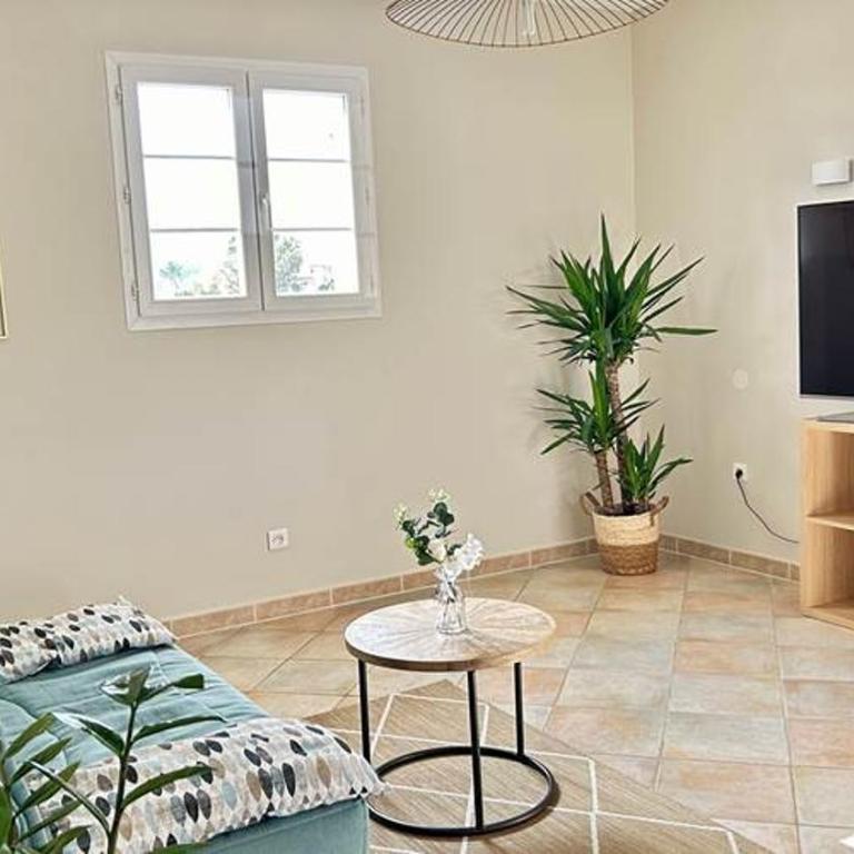 Gîte des Figuiers - parking, piscine, jacuzzi - Appartement - 11