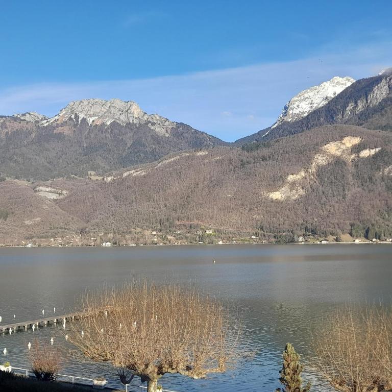 CoconLagon Sérénité au lac d'Annecy - Apartment mit Seeblick - 37