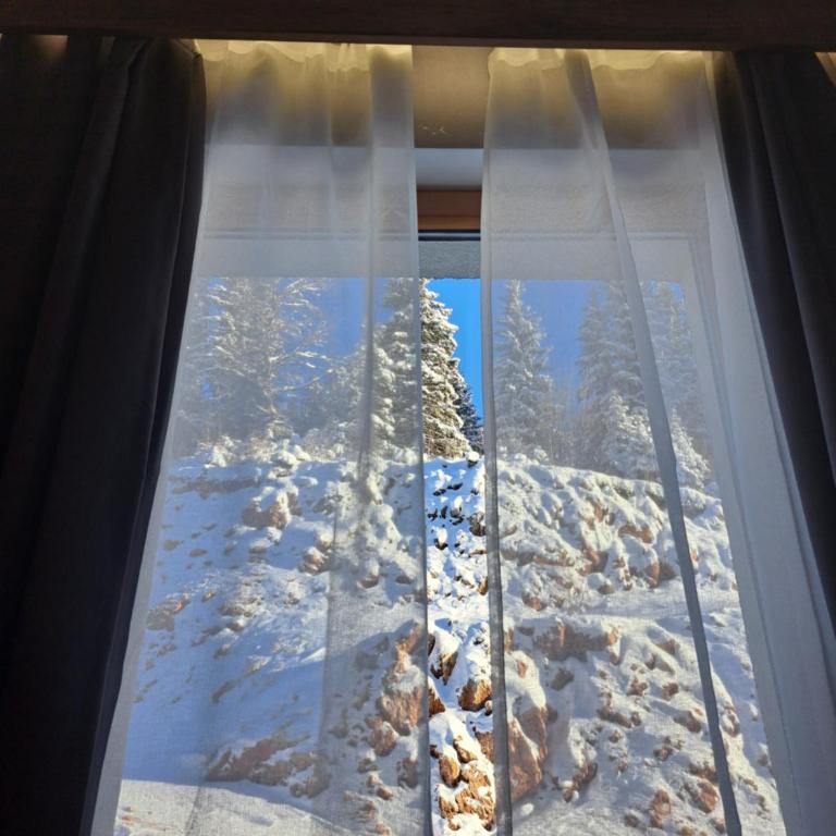 Aparthotel Vucko Jahorina NEW 451 - One-Bedroom Apartment - 23