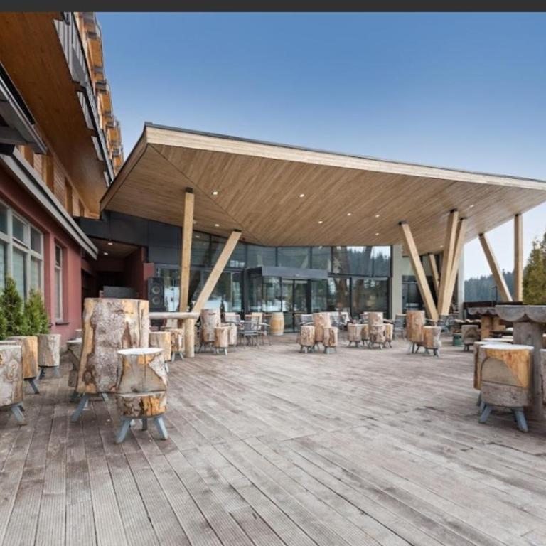 Aparthotel Vucko Jahorina NEW 451 - One-Bedroom Apartment - 28