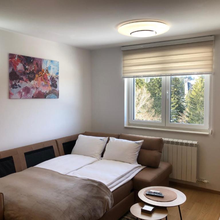 Apartman Srna 303 Jahorina - One-Bedroom Apartment - 17