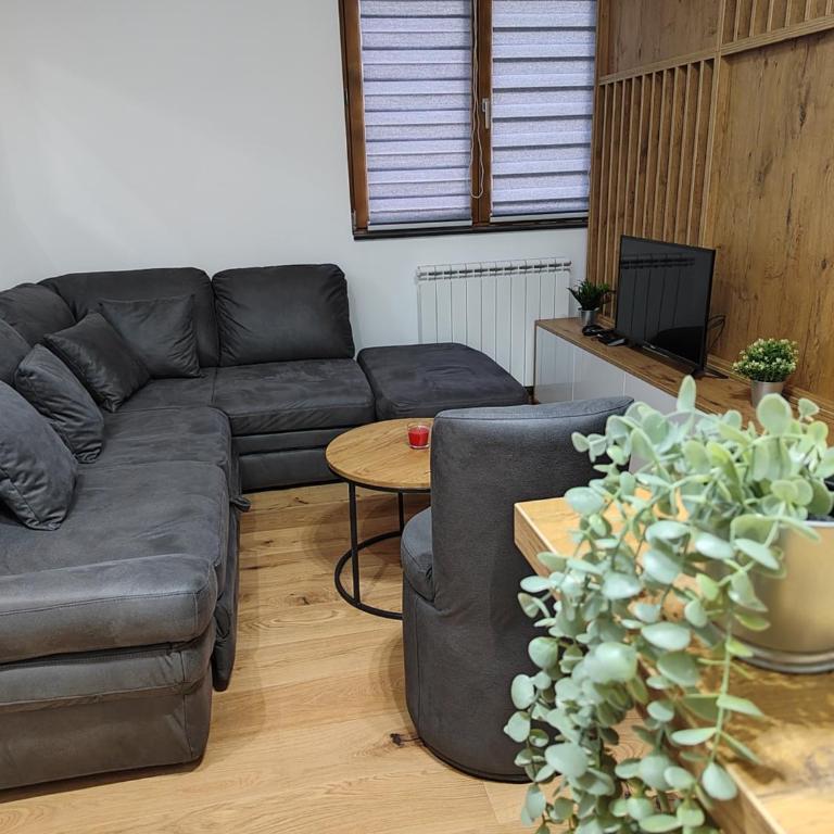 Apartmani Dvosjed - Studio sa Sofom na Izvlačenje - 2