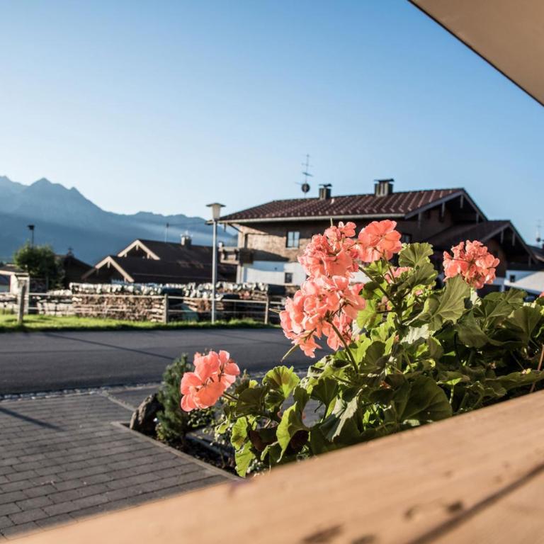 Alpenhaus Steiner - Top-Ferienwohnungen - Sommer-Bergbahn inklusive - Apartment - 13