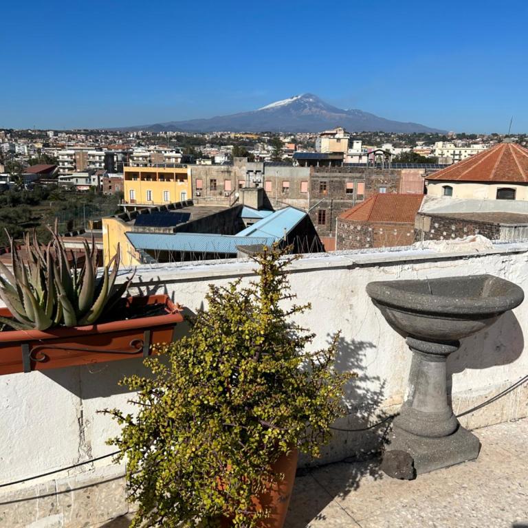 Residenza Parco Gioeni - Apartment with Terrace - 86