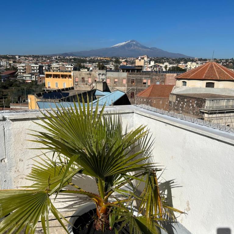 Residenza Parco Gioeni - Apartment with Terrace - 85