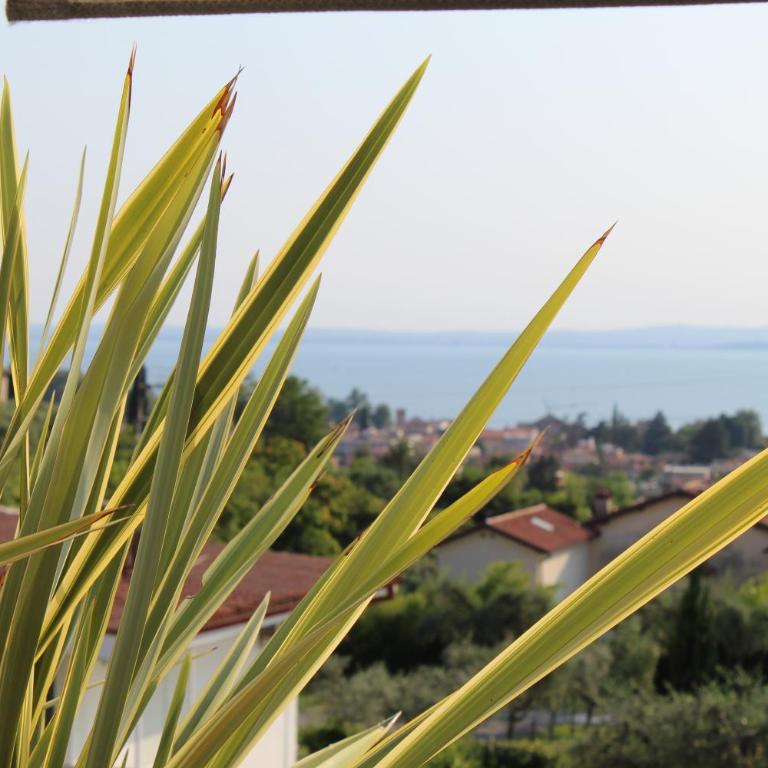 Rifugio di Giusy, apartment with swimming pool - One-Bedroom Apartment - 39