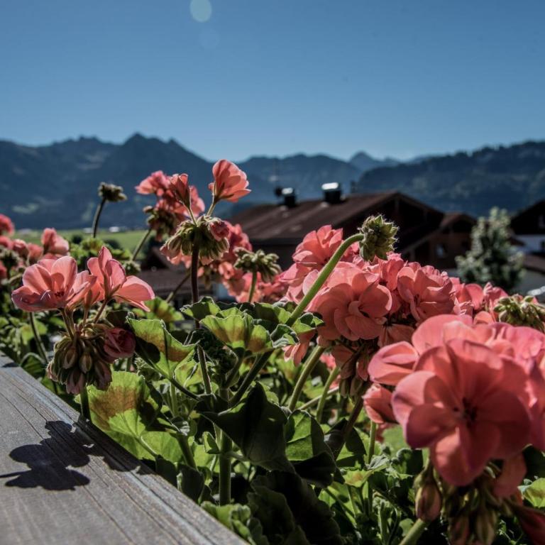 Alpenhaus Steiner - Top-Ferienwohnungen - Sommer-Bergbahn inklusive - Apartment mit 2 Schlafzimmern und Sauna im Apartment - 15