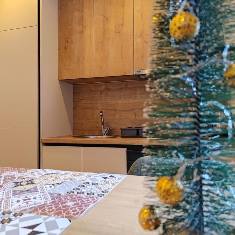 Apartmani Dvosjed - Apartman sa 1 Spavaćom Sobom - 1