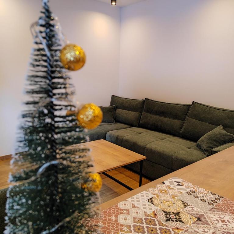 Apartmani Dvosjed - Apartman sa 1 Spavaćom Sobom - 2