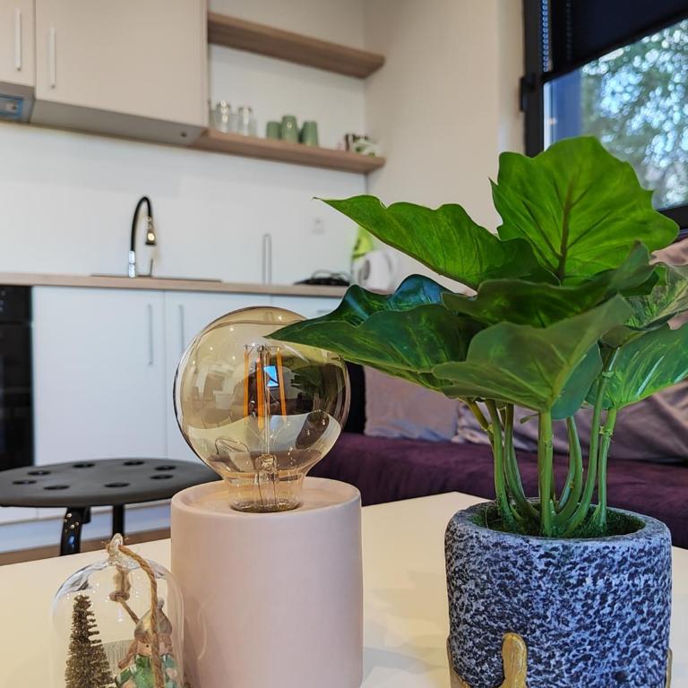 Apartmani Dvosjed - Apartman sa 1 Spavaćom Sobom - 1