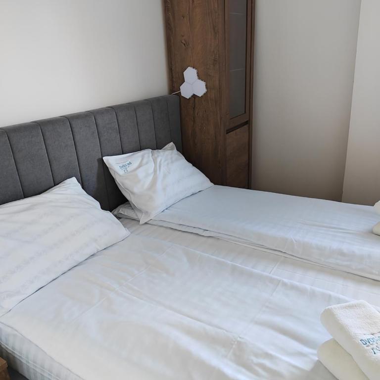 Apartmani Dvosjed - Apartman sa 1 Spavaćom Sobom - 3