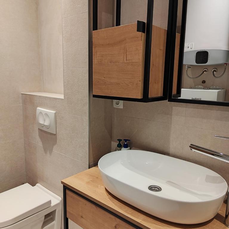 Apartmani Dvosjed - Apartman sa 1 Spavaćom Sobom - 4