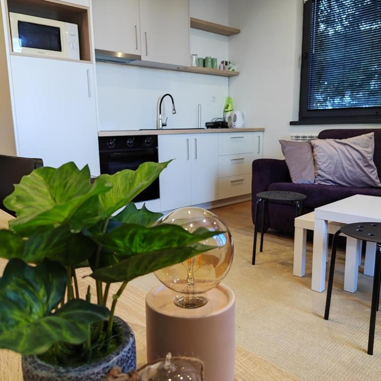 Apartmani Dvosjed - Apartman sa 1 Spavaćom Sobom - 5