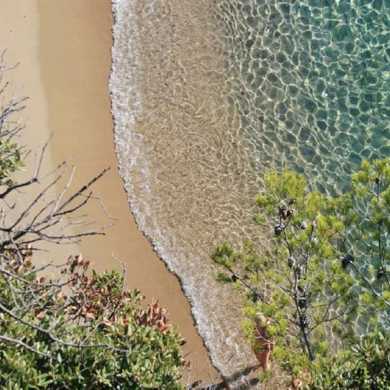 T3, 2ch, classé 3,parking gratuit sur place à 600m de la plage, des commerces ,du port proche st tropez - Appartement 2 Chambres - 42