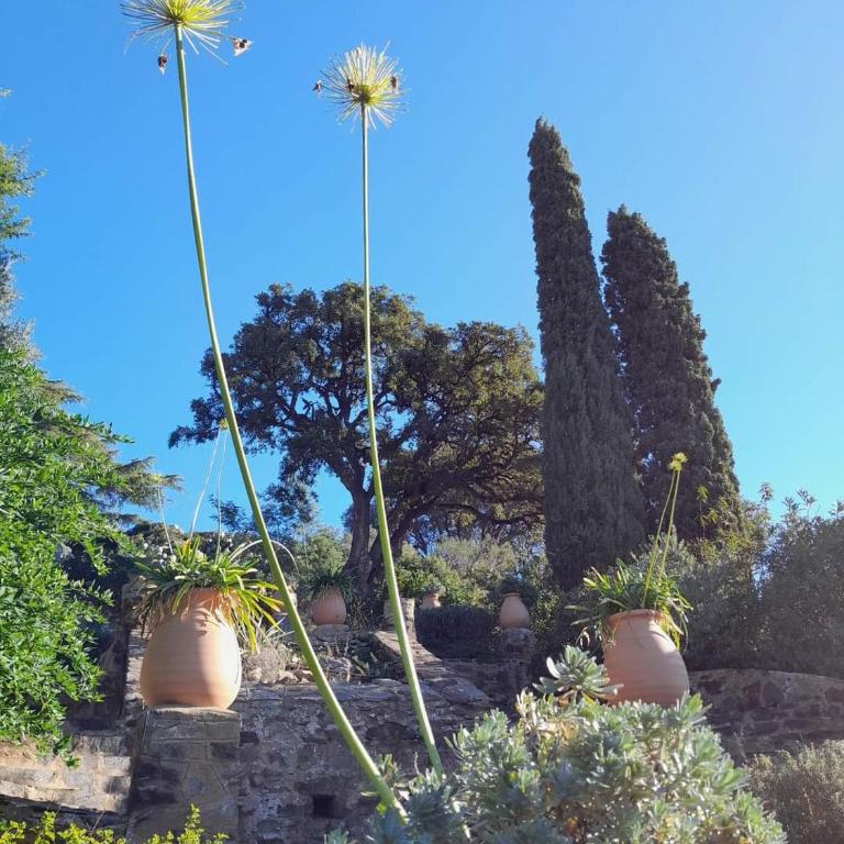T3, 2ch, classé 3,parking gratuit sur place à 600m de la plage, des commerces ,du port proche st tropez - Appartement 2 Chambres - 17