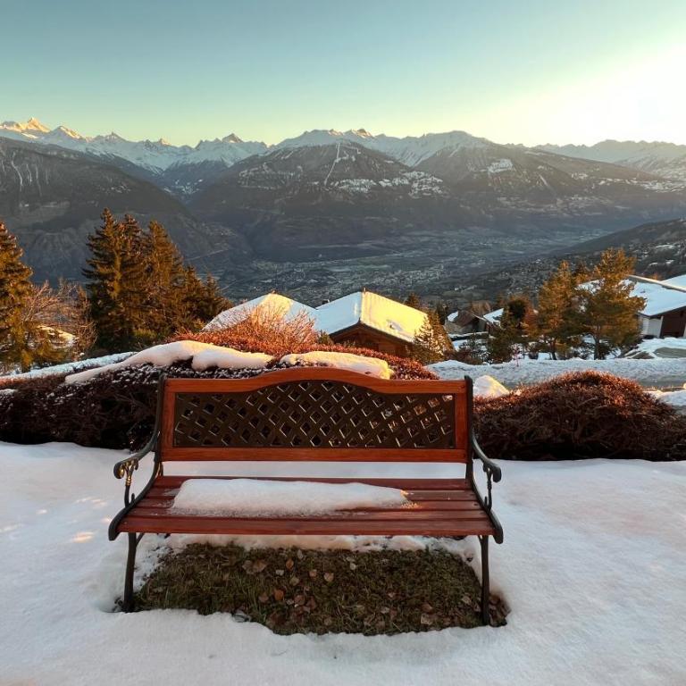 Chalet La Louise avec vue imprenable - Chalet 3 Chambres - 48