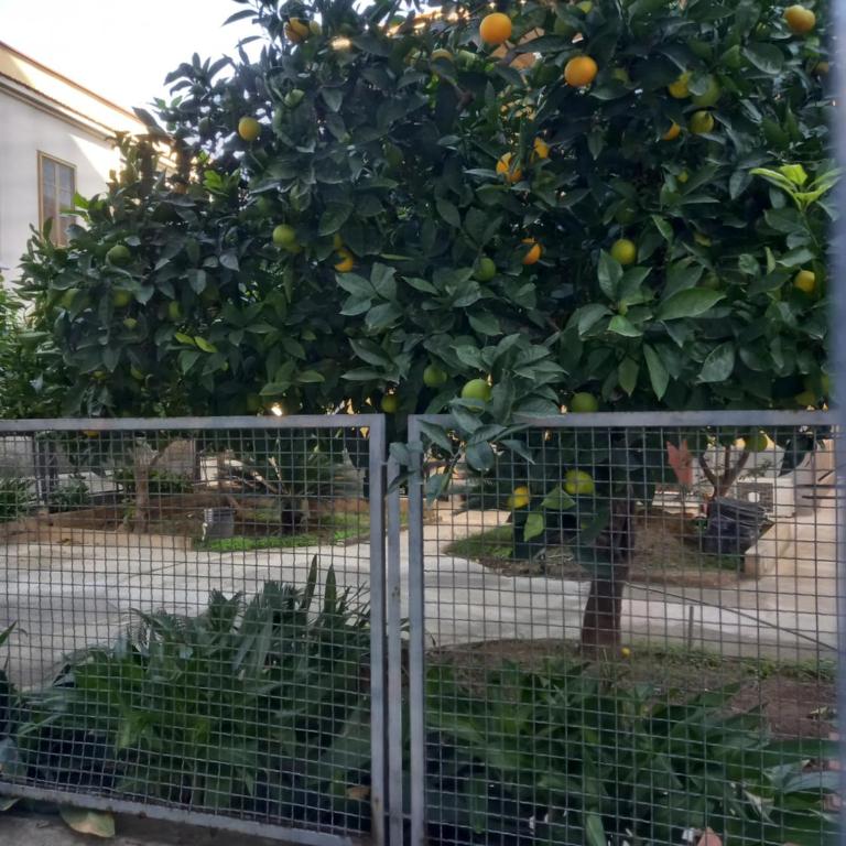 Momenti e Monumenti - Two-Bedroom House - 37