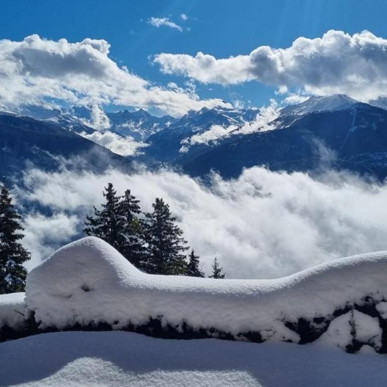Chalet La Louise avec vue imprenable - Chalet 3 Chambres - 44