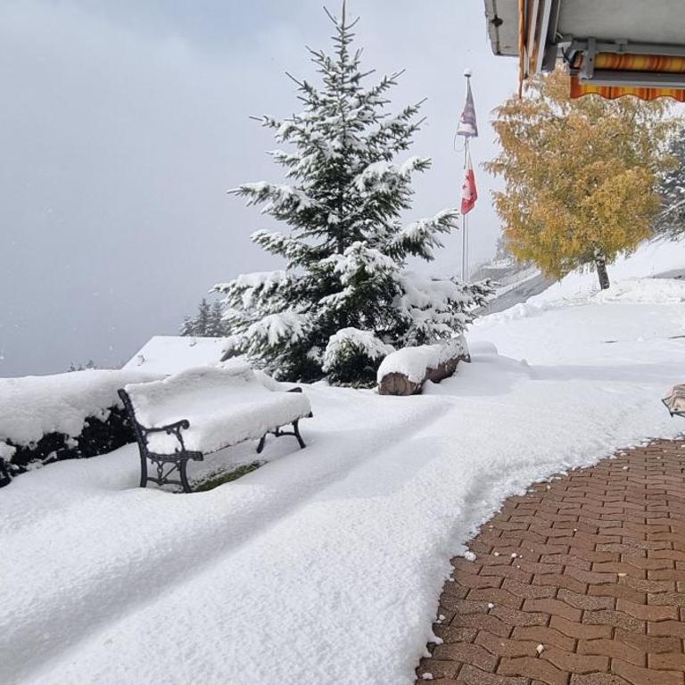 Chalet La Louise avec vue imprenable - Chalet 3 Chambres - 46