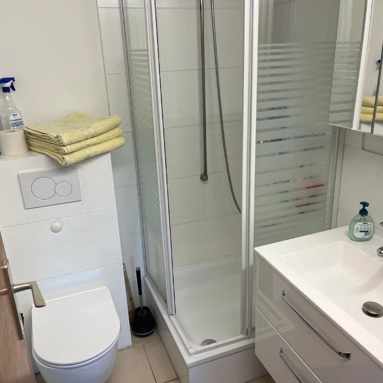 schönes Apartment mit Festungsblick - FREE Parking - - Apartment mit 1 Schlafzimmer - 6