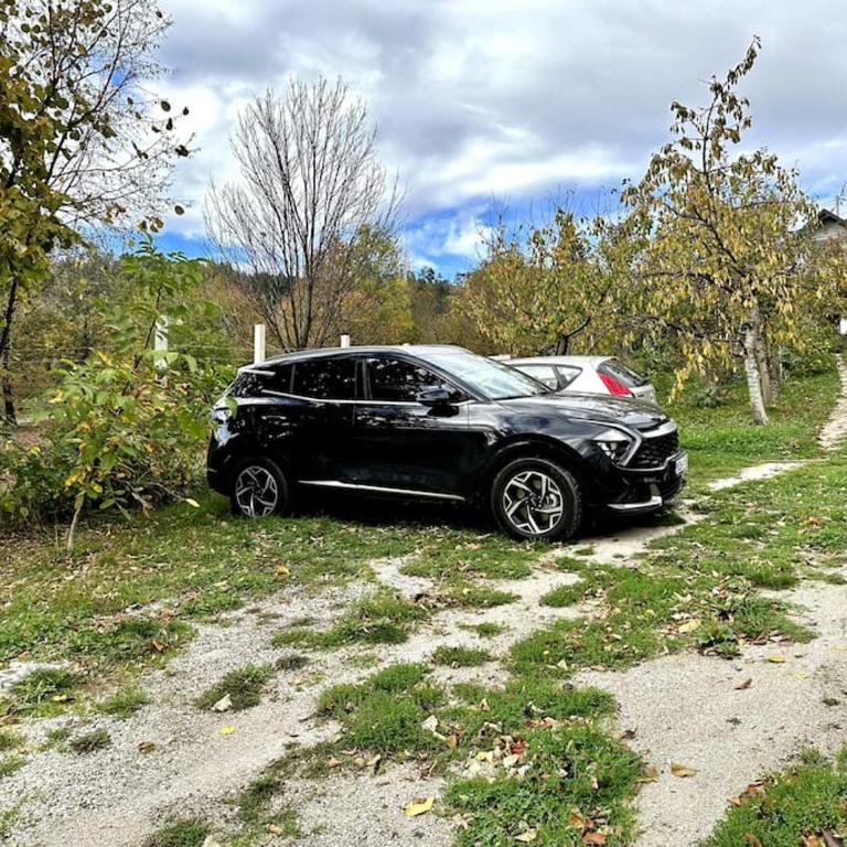 villa America - Dvokrevetna Soba sa Bračnim Krevetom i Pogledom na Park - 20