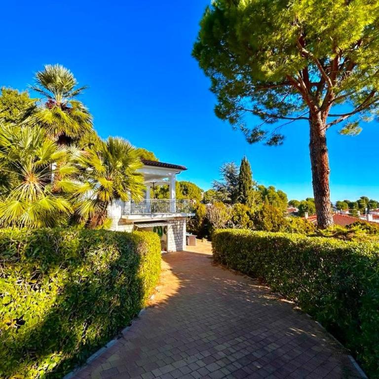 Villa Renata, bellissima villa con terrazzo vista mare e spiaggia inclusa - Casa Vacanze - 32