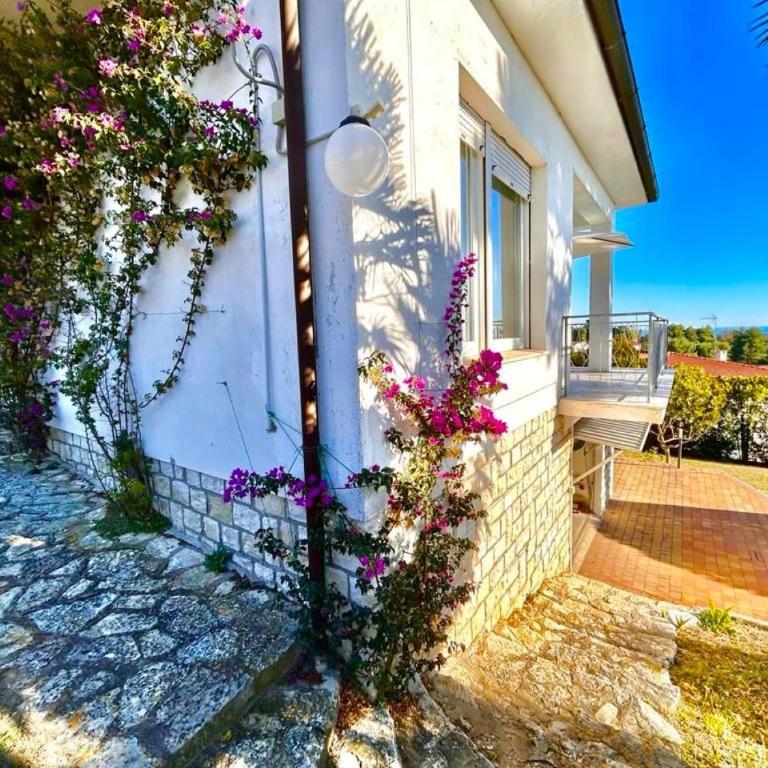 Villa Renata, bellissima villa con terrazzo vista mare e spiaggia inclusa - Casa Vacanze - 34