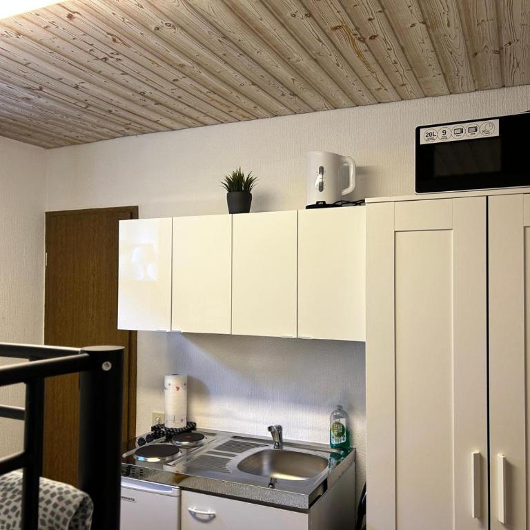 Hallo!-Apartments - Ideal für Geschäftsreisende, Monteure und Feriengäste - Budget Apartment - Nr.1 - 3