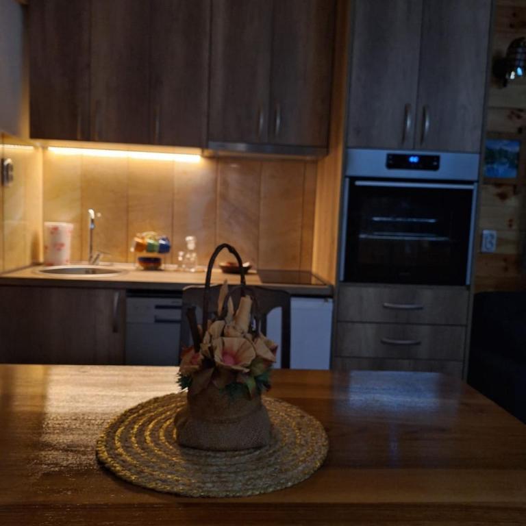 Apartments Shine - Apartman sa Pogledom na Planinu - 17