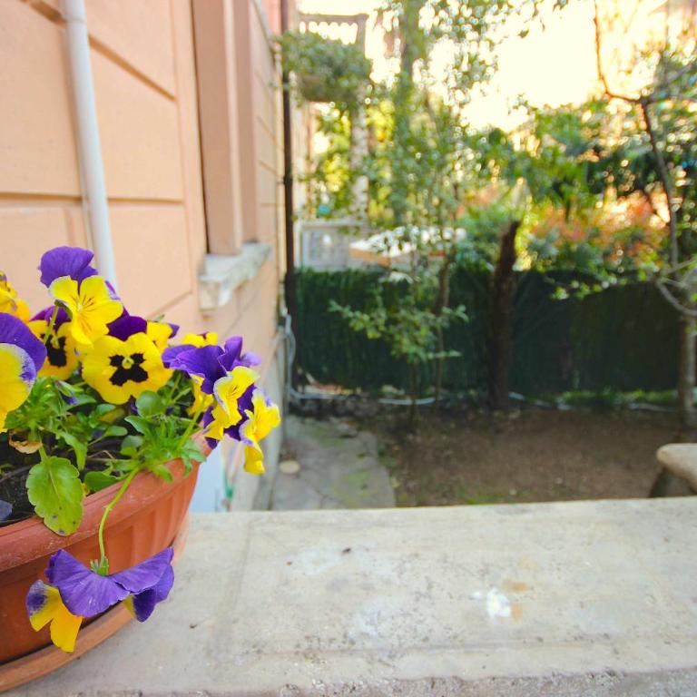 Case VR Holiday - Casa Angel - Apartment - 34