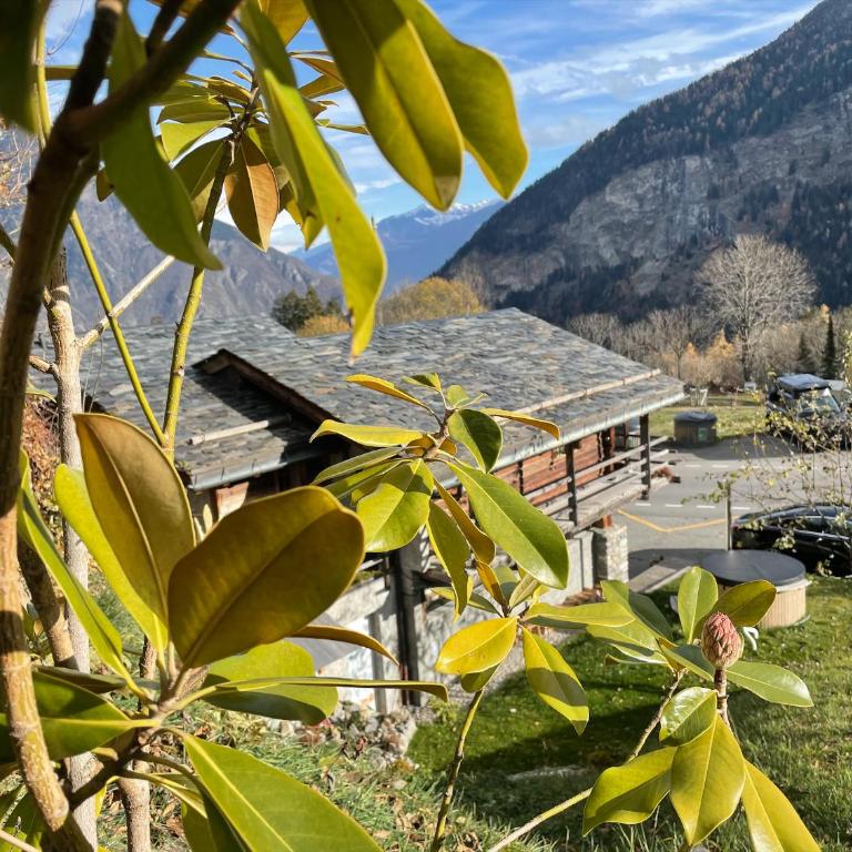 Mazot Agora & Spa Family Trip - Chalet Ouest R+1 - Apartment mit 2 Schlafzimmern - 55
