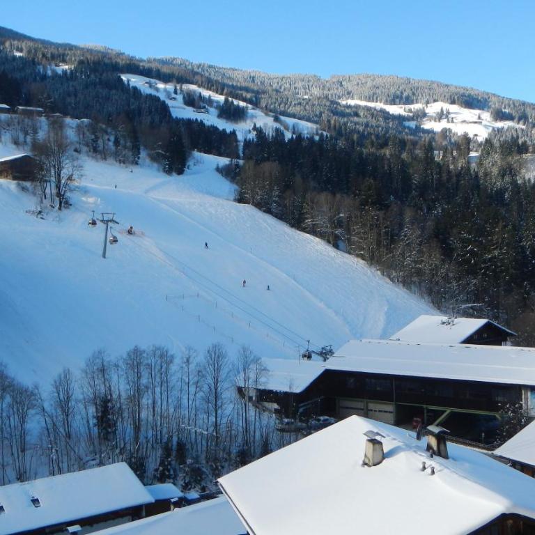 Gondelblick - Apartment mit Blick auf die Berge - 25