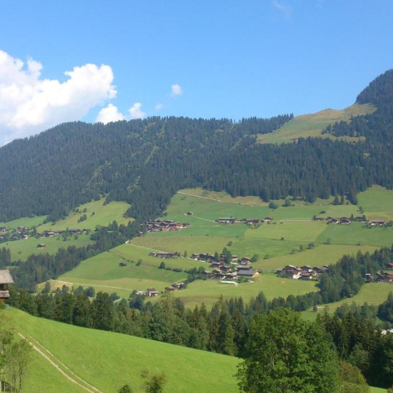 Gondelblick - Apartment mit Blick auf die Berge - 33