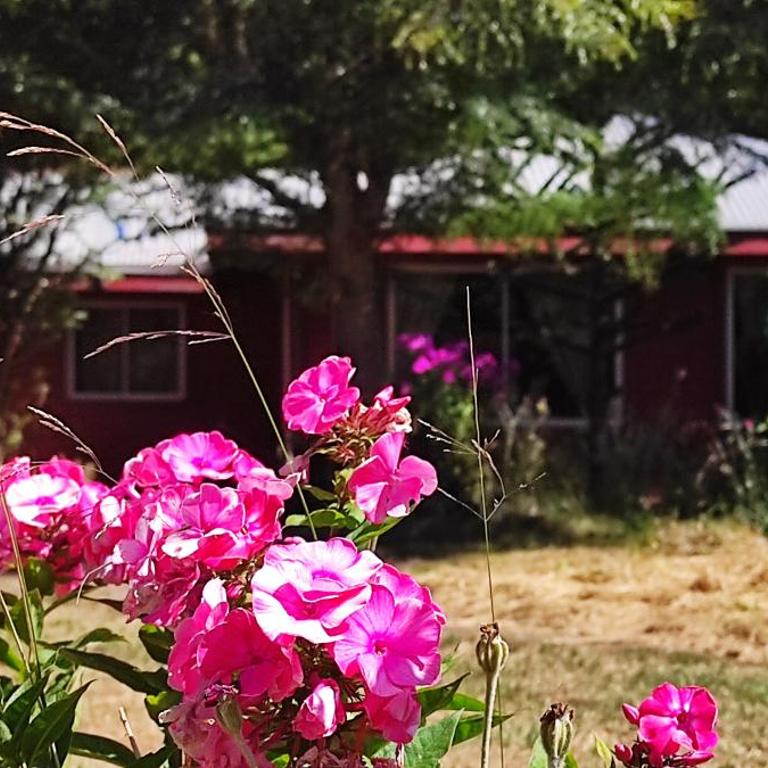 Hermosa casa, full naturaleza a minutos de Villarrica - Casa con 1 dormitorio - 1