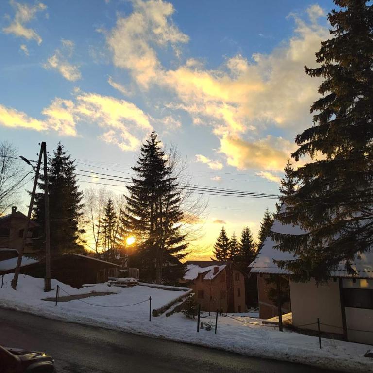 Garnet Star Apartments, Kopaonik, apartman br 2 - Apartman sa 1 Spavaćom Sobom - 33