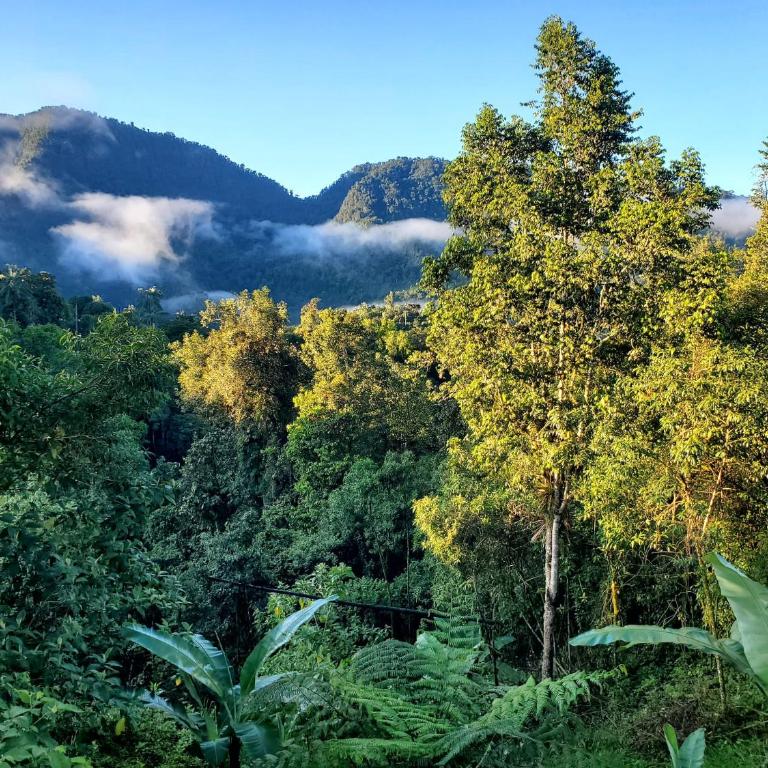 Sendero de las aves - Apartamento con balcón - 27